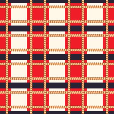 Rope seamless pattern with geometrical stripe lines