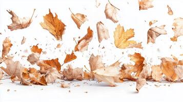 Autumn leaves dance in the air creating a vibrant display of nature's artwork during a breezy afternoon photo