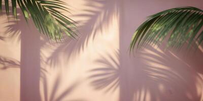 Palm shadows create a serene pattern on soft pink wall during afternoon light in a tropical setting photo