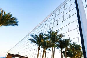 Sunny beach volleyball court framed by palm trees under a clear blue sky in a tropical setting during the afternoon photo