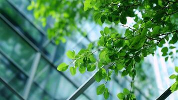 Fresh green leaves contrast with modern glass architecture in a serene urban setting during daylight hours photo