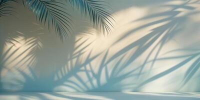 Soft shadows of palm leaves cast on a wall create a tranquil atmosphere in a cozy indoor setting during the afternoon photo