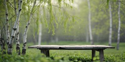 Scenic wooden table surrounded by lush greenery and birch trees in a tranquil park setting during early morning light photo