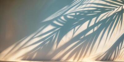 Shadows of palm leaves creating a beautiful pattern on a light-colored wall at sunset in a tropical setting photo