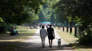 Couple enjoys a leisurely walk with their dog in a lush park during a sunny day photo