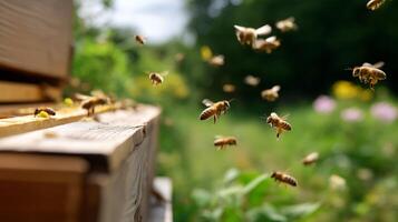 Swarm of bees buzzing around a beehive on a sunny day in a lush garden photo