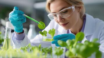 Scientist conducting research on plant growth in a laboratory during the day with focus on leaf samples photo