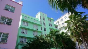 Colorful Art Deco buildings in South Beach Miami under clear blue sky surrounded by palm trees photo