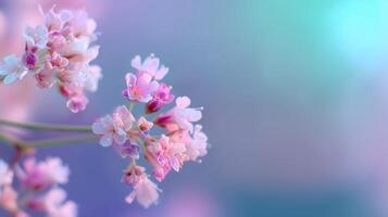 Beautiful clusters of pink flowers blooming in soft pastel tones during early spring in a serene garden setting photo