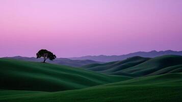 Sunset over rolling hills with a solitary tree in a serene landscape photo