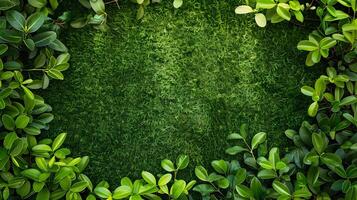 Green mossy wall with green leaves and a copy space photo