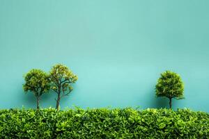 Small trees in the middle of a green field photo