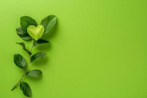 Green background with leaf and heart on it, copy space for text photo