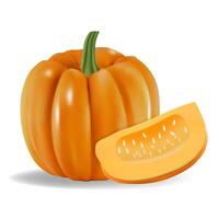 Realistic illustration of a whole pumpkin with a pumpkin slice. vector