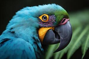 Vibrant parrot perched in lush rainforest during a sunny afternoon photo