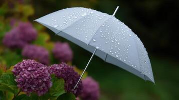 Grey umbrella with water droplets beside blooming hydrangeas in a rainy garden setting photo
