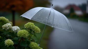 Raindrops fall on flowers with an open umbrella on a rainy day in a quiet neighborhood photo