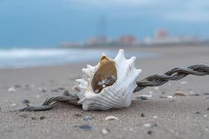 Wires intertwined with a seashell on a sandy beach at dusk near the ocean photo