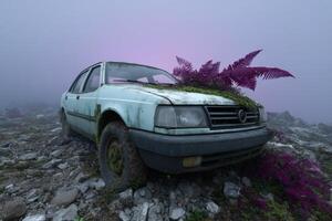 Exclusion zone features abandoned car overtaken by mutated plants in dense fog photo
