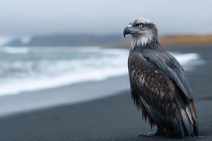 Bird struggles to walk on dark shore against ocean backdrop in soft light photo