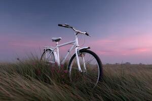 Bicycle standing in tall grass during golden hour light with colorful sky photo