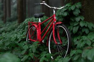 Bicycle partially hidden in dense jungle overgrowth during a rainy season adventure photo