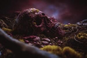 Eerie skull resting among moss and stones in a dark forest setting photo