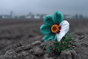 Flower blooms vibrantly in radioactive soil amidst a barren landscape photo