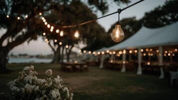Glowing wildflower meadow at dusk beneath twinkling string lights photo