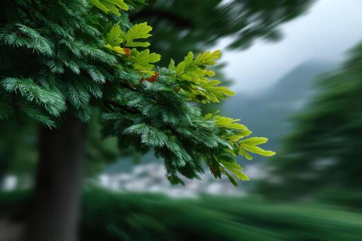 Leaves pulsate with soft light in a serene forest setting during twilight photo