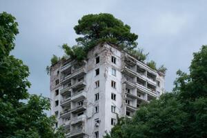 Tall building overtaken by lush greenery and a large tree at the rooftop in an urban area photo