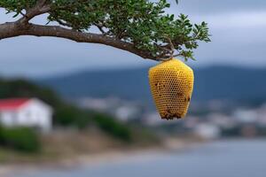 Beehive structured like a high-rise building hangs from a tree near a body of water photo