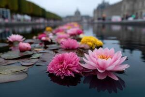 Water lilies float on calm water in a serene setting resembling Monet's famous artwork photo