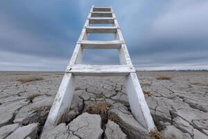 Reaching into clouds from dried cracked earth under an overcast sky photo