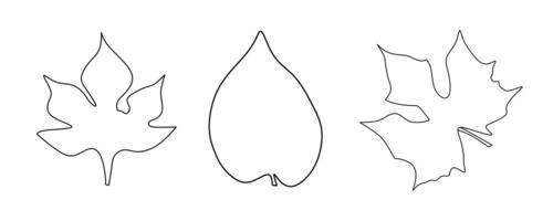 Simple Leaf Line Art Featuring Three Unique Natural Shapes vector