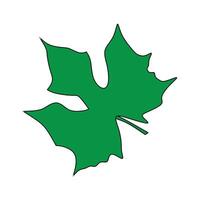 Bright and vivid green leaf illustration showcasing intricate vein details and a distinctive five-lobed pattern. vector
