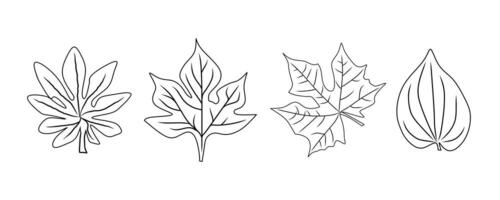 A black and white outline drawing featuring four distinct leaf shapes, ideal for artistic projects, botanical designs, and educational materials emphasizing nature and plant study. vector