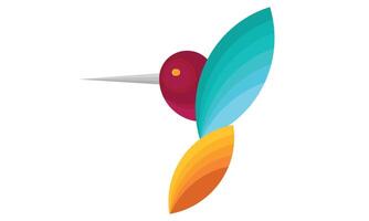 Vibrant colorful bird kingfisher hummingbirds graphic design with blue and orange color vector