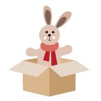 Cute Rabbit in a Box on a White Background vector