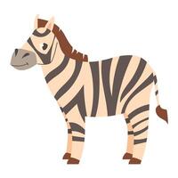 Cartoon zebra in flat style on white background vector