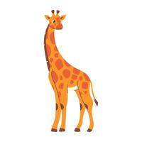 Giraffe in flat style on white background vector