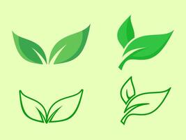 Botanical Element Collection for Natural Branding and Logos vector