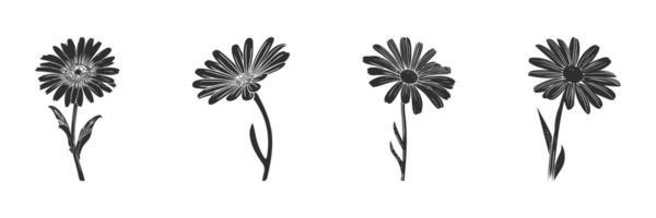 Silhouette Of Daisy Flowers In Various Poses. Botanical Art And Nature Design Elements Isolated Illustration Collection vector