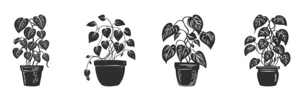 Potted Houseplants Silhouette Set. Botanical Decor And Indoor Gardening vector