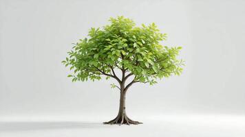 Animation of Tree Growth with Gentle Branch Movement on White Background video
