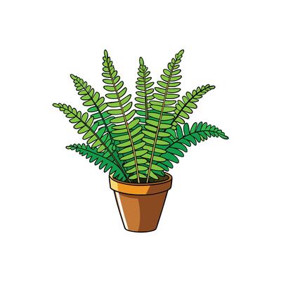 Cartoon fern in a brown pot on white background