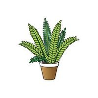 Cartoon houseplant in a pot on white background vector