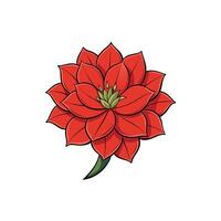 Bold poinsettia flower graphic with a clean white background vector