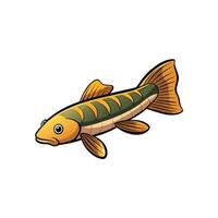 Cartoon Fish Illustration Colorful Freshwater Species on White Background vector