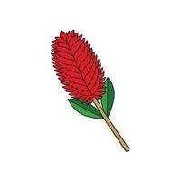 Decorative red ginger flower with green leaves illustration vector